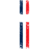 flag of France