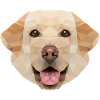 Labrador Polygon Hund