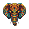 Elephant Portrait