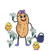 Peanut Spring Easter Chick Snowdrop
