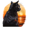 CAT SUNSET