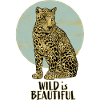 Leopard. Wild is Beautiful