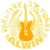 Alwin as guitar