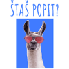 ŠTAŠ POPIT MAJICA