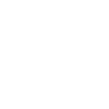Asian Chef