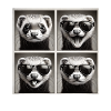 Ferret