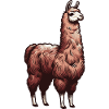 Brown llama