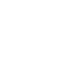 20 CENTURY SURVIVOR