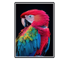 Macaw's Era