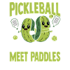 Pickleball Where Pickles Meet Paddles