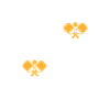 Pickleball Ready Paddleball Player Gift