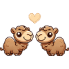 Camel Cartoon Love