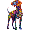 Vizsla