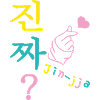 Jin-jja kdrama fan hangul really customizable