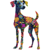 Whippet