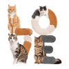 Liebe Katze