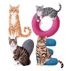 Liebe Katze