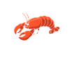 Crawfish Gifts