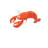 Crawfish Gifts