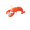 Crawfish Gifts