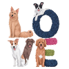 Liebe Hunde
