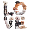 Liebe Hunde