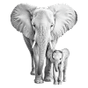 Elefant