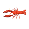 Crawfish Gifts