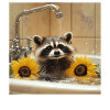 Waschbär