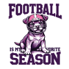 Football & Dog Football American Football