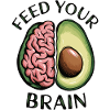 Feed Your Brain Avocado Illustration
