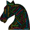 Chess Openings