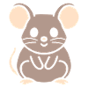 Rat