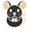 Rat