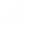 Rat