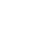 Rat