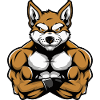 Akita Dog Muscles Bodybuilding