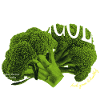 Brocoli – Design végétal esthétique