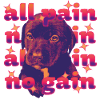All Pain No Gain – Dramatic Dog