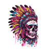 Indian Skull