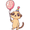 Suricate Anniversaire Bébé