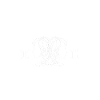 Zodiac sign Gemini