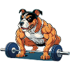 Amstaf Gym Lifts Weights Strongman