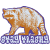 Stay Trashy – Frecher Waschbär