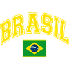Drapeau du Brésil