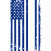 Politiets USA-flag