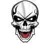 Rock Music Skull