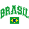 Brazil Flag
