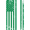 Boston Green US Flag