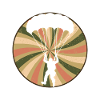Skydiving Paragliding